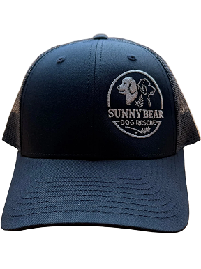 Sunny Bear Hat